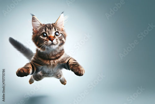 funny kitten in flight on a colored background © Екатерина Переславце