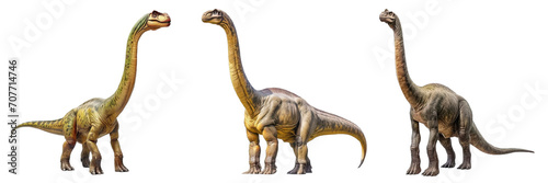 Collection of PNG. Brachiosaurus isolated on transparent background.