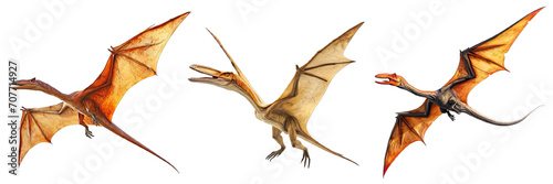 Collection of PNG. Pteranodon isolated on transparent background.