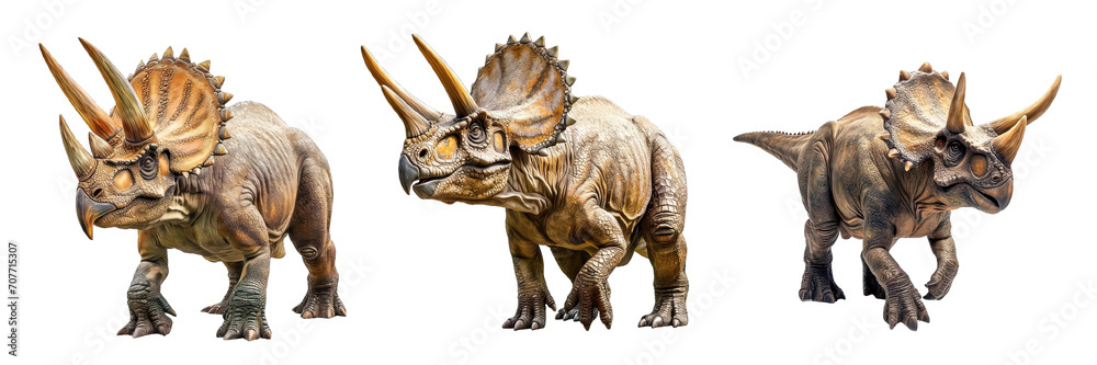 Obraz premium Collection of PNG. Triceratops isolated on transparente background.
