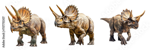 Collection of PNG. Triceratops isolated on transparente background. © morepiixel