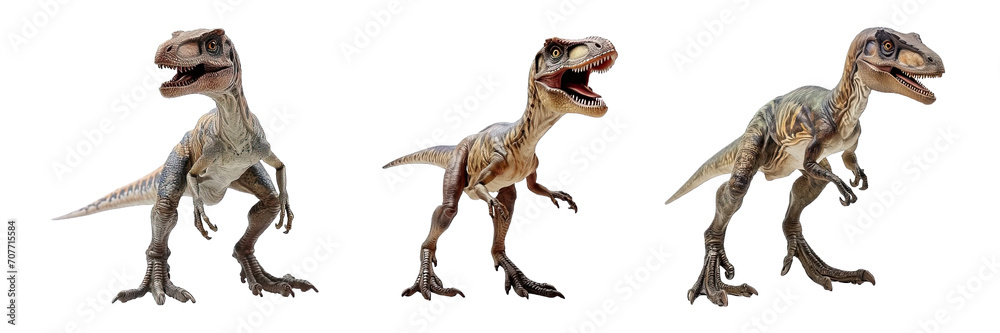 Fototapeta premium Collection of PNG. Velociraptor isolated on transparent background.