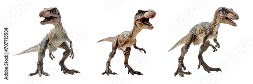 Collection of PNG. Velociraptor isolated on transparent background.