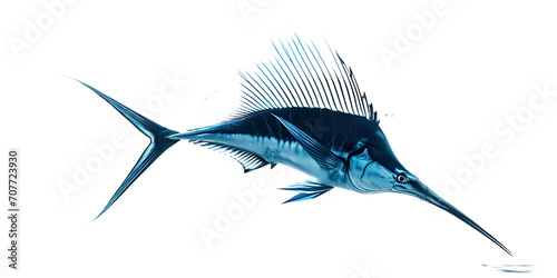 Atlantic sailfish in the air and showing off its iconic jumping pose against a clear background