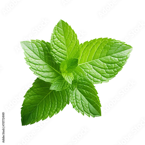 fresh mint leaves isolated on transparent background Remove png, Clipping Path, pen tool
