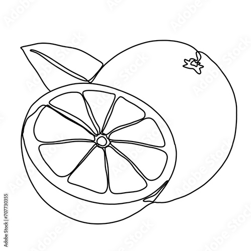 Orange continuous single line art drawing. Orange fruit minimal art style. Orange fruit continuous line art illustration