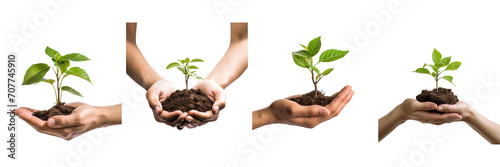 Set of one Hand holding young plant, on a transparent background