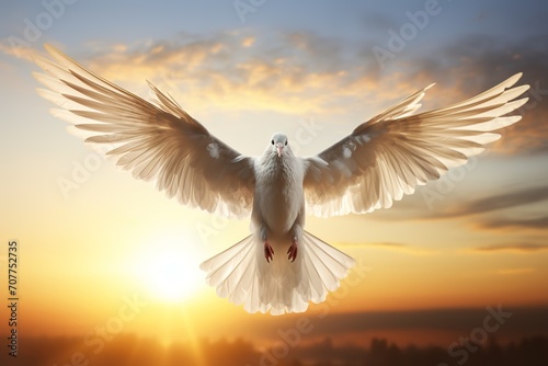 A white dove with outstretched wings on the background of the sky during sunrise  the dove is a symbol of peace