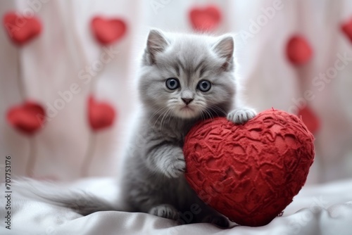 A charming cute grey kitten is playing with a red heart-shaped pillow toy. Greeting card with a cat for Valentines Day.