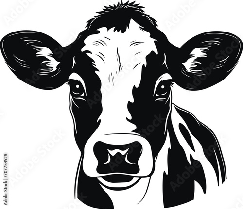 Baby Cow head, Cow head logo, Farm Animal Vector Illustration