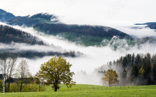 wafts of fog in the mountains of Austria