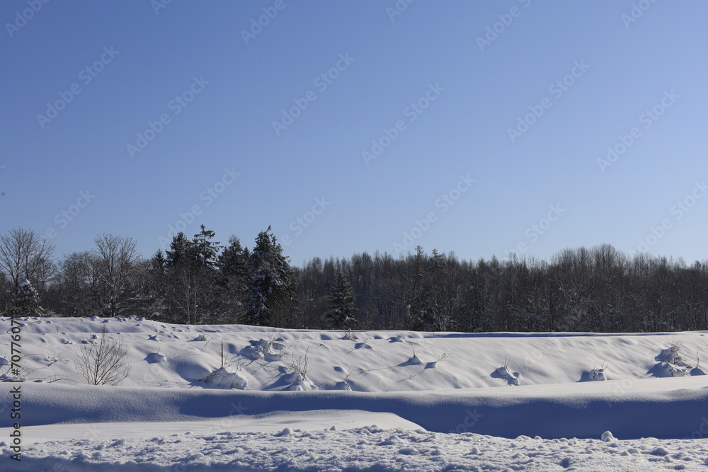 Fresh Snow Fresh Snow