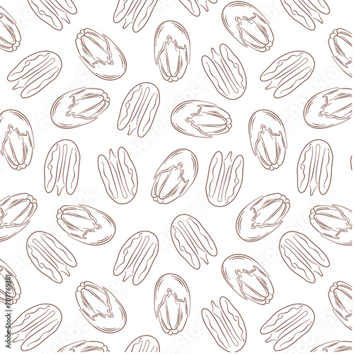 Pecan seamless pattern in line art style. Hand drawn vintage print on white background. Vector illustration on a white background.