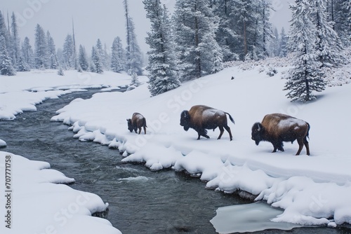 A small herd of bison walking through deep snow along the banks of a river 