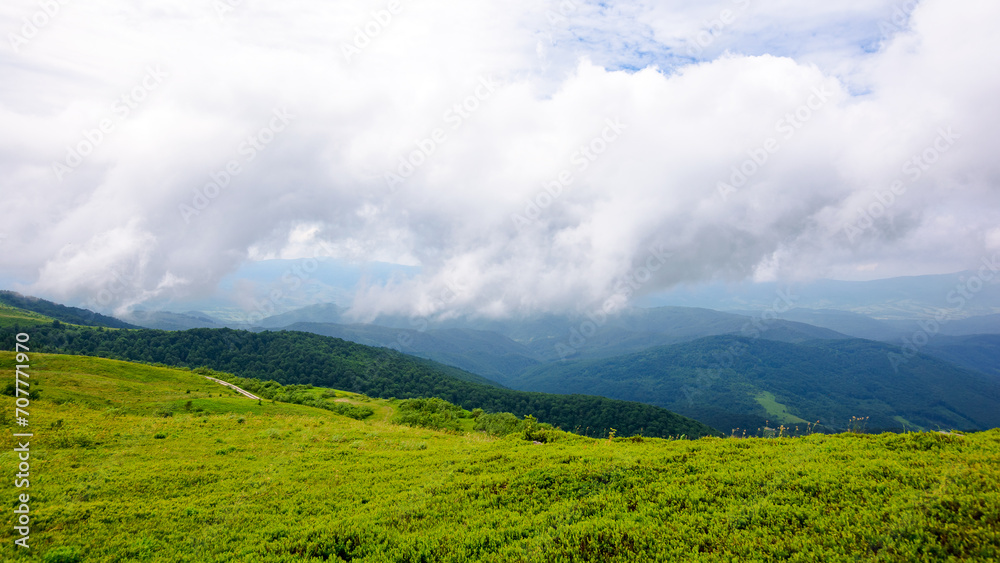 alpine meadow of carpathian mountains in summer. cloudy weather