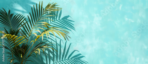 Palm branch on a sky blue background. Palm Sunday background.