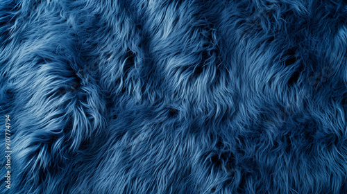 Blue fur texture top view. Blue sheepskin background. Fur pattern