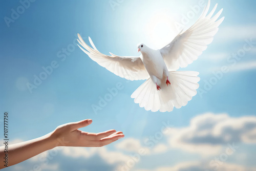 A white pigeon flies in the sky and human hand. Dove of peace. A
