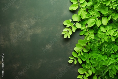 Fresh moringa leaves on clinker# background. Top view with copy space