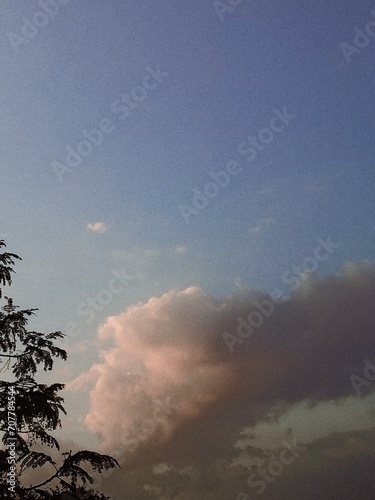 misty morning landscape