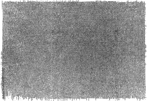 Distressed Crosshatch Pattern. Illustration of fabric with torn ends. Cotton fabric texture in black and white. Monochrome grunge background.