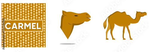 Camel. Wild and domesticated desert caravan animals with saddle. Isolated on white background cartoon arabian dromedary characters set vector illustration.