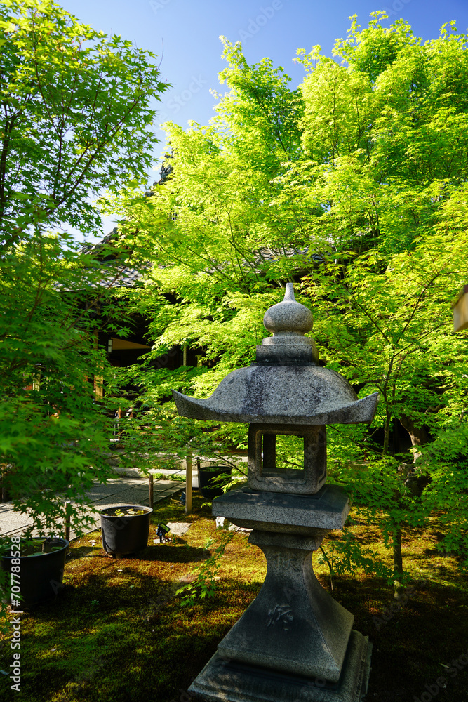 勝林寺境内の新緑の風景 勝林寺境内の新緑の風景