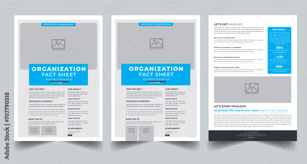 Nonprofit Organization Fact Sheet layout design template with 3 style design concept Nonprofit Organization Fact Sheet layout design template with 3 style design concept