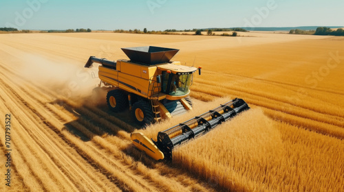 Combine Harvester Working in Golden Wheat Field