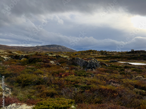 Autumn landscape in Dovrefjell National Park, south Norway. Europe © Alberto Gonzalez 