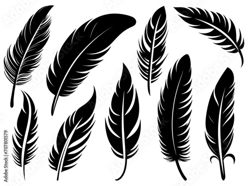 Set of detailed majestic feather collection. Bird Feather black silhouettes. Plumelet collection. Vector isolated on white