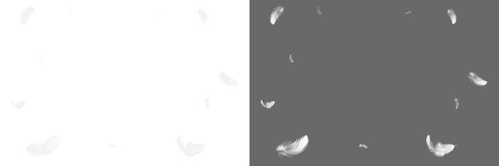 White feather isolated. Set feather isolated.
Feather fly fall in air on transparent background. Photoshop overlay, angel wing photo overlay