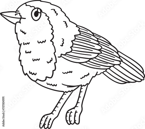 European Robin Bird Isolated Coloring Page 