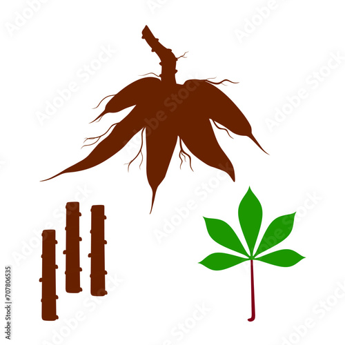 Vector illustration of cassava roots, leaves and wood. Manihot esculenta. Bulbs on white background. Suitable for national tapioca banners. photo