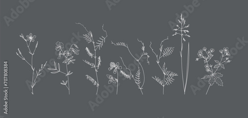 Leinwand Poster Field flowers and grasses, line drawing. Vector illustration