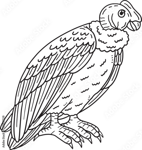 Andean Condor Bird Isolated Coloring Page for Kids