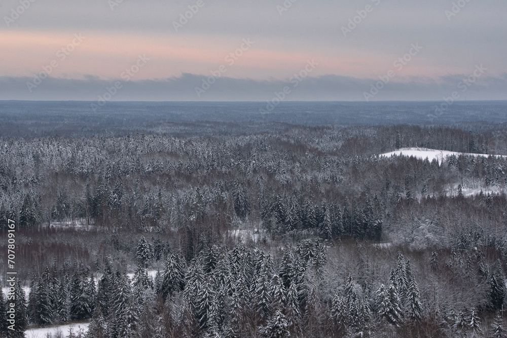Winter landscape with forest and snow Estonia, Northern-Europe, western taiga forest. Winter landscape with forest and snow Estonia, Northern-Europe, western taiga forest.