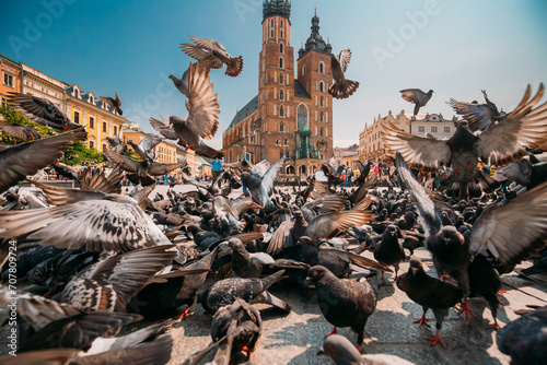 Krakow, Poland. Doves Birds Near St. Mary's Basilica. Pigeons Take-off Flying Near Church Of Our Lady Assumed Into Heaven. UNESCO World Heritage Site. photo