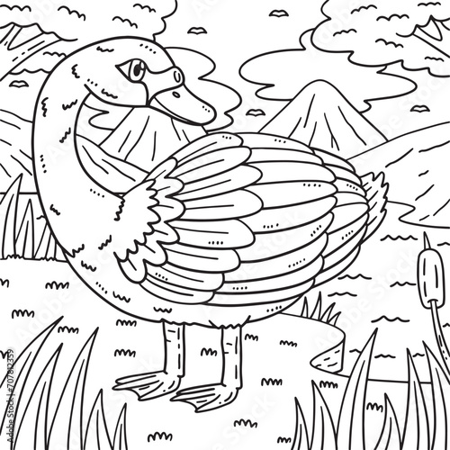 White Swan Bird Coloring Page for Kids