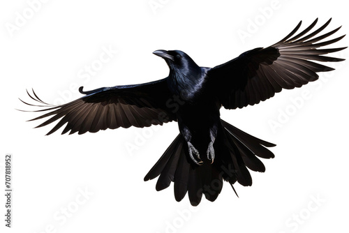 a high quality stock photograph of a single flying spread winged crow isolated on a transparant or white background