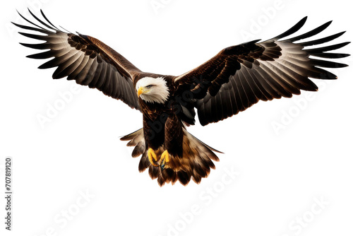 a high quality stock photograph of a single flying spread winged eagle isolated on a transparant or white background