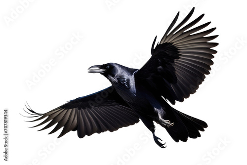 a high quality stock photograph of a single flying spread winged raven isolated on a transparant or white background photo