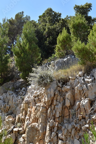Mediterranean Landscape with Pine Trees and Rocky Cliff