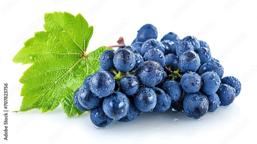 Fototapeta premium Blue wet Isabella grapes bunch isolated on white background as package design element
