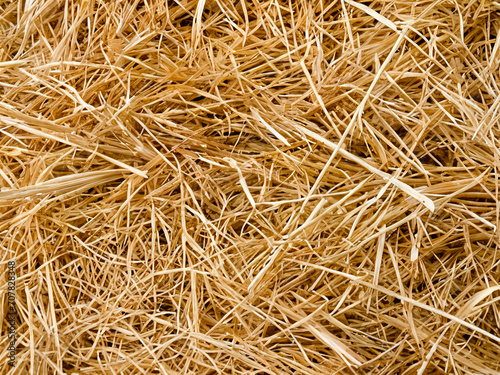 background from straw of hay