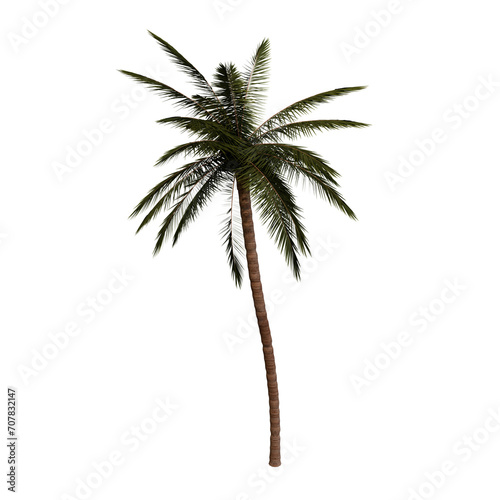 3D Rendered Palm with no Background © Victor Tcaci