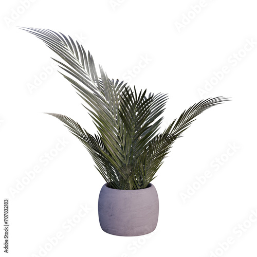 3D Rendered Potted Houseplant with no Background