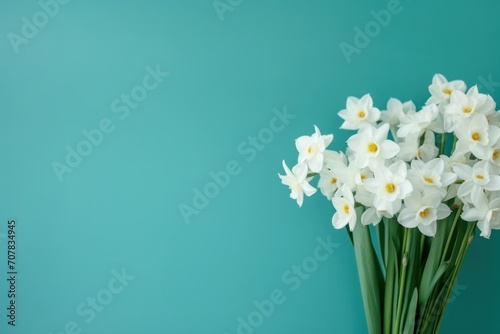 Bouquet of white narcissus on a turquoise colored backdrop isolated pastel background  © Lenhard