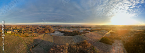 Aerial view of Bordeaux vineyard in winter at sunrise  Rions  Gironde  France. High quality photo
