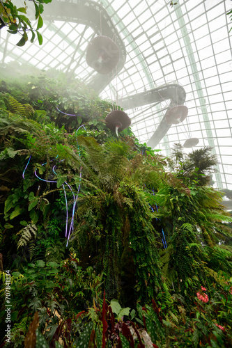 Cloud Forest dome environment at Gardens by the Bay in Singapore